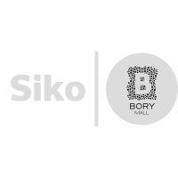 Bory_logo